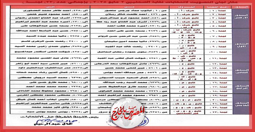 المصريين بالخارج