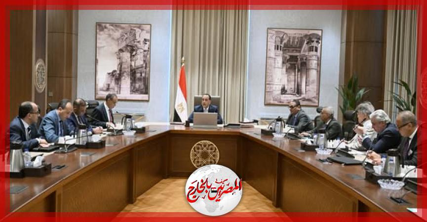 المصريين بالخارج