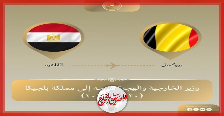 المصريين بالخارج