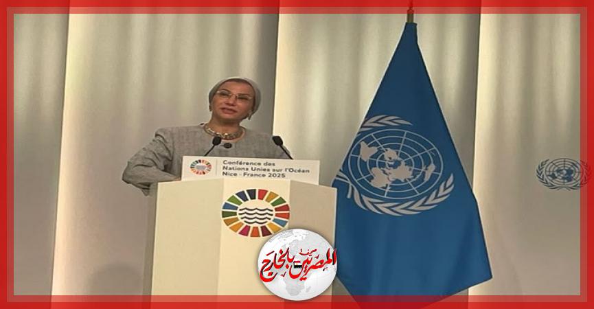 المصريين بالخارج