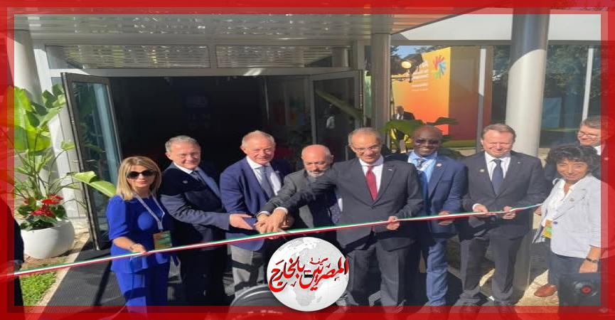 المصريين بالخارج