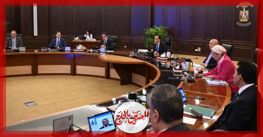 المصريين بالخارج