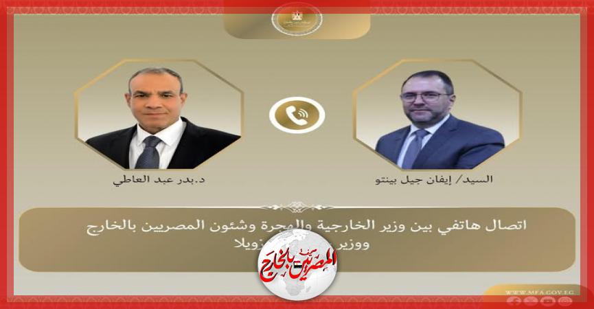 المصريين بالخارج