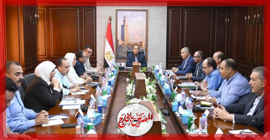 المصريين بالخارج