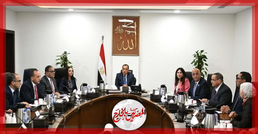 المصريين بالخارج