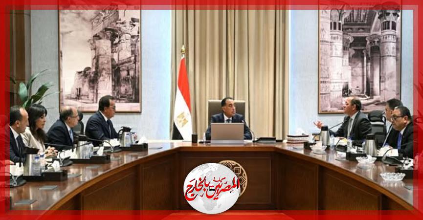 المصريين بالخارج