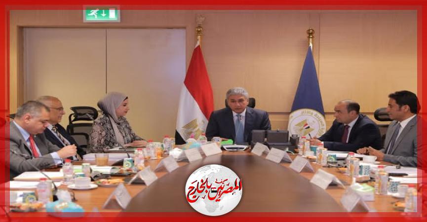 المصريين بالخارج