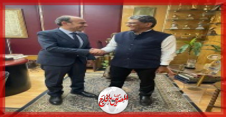 المصريين بالخارج