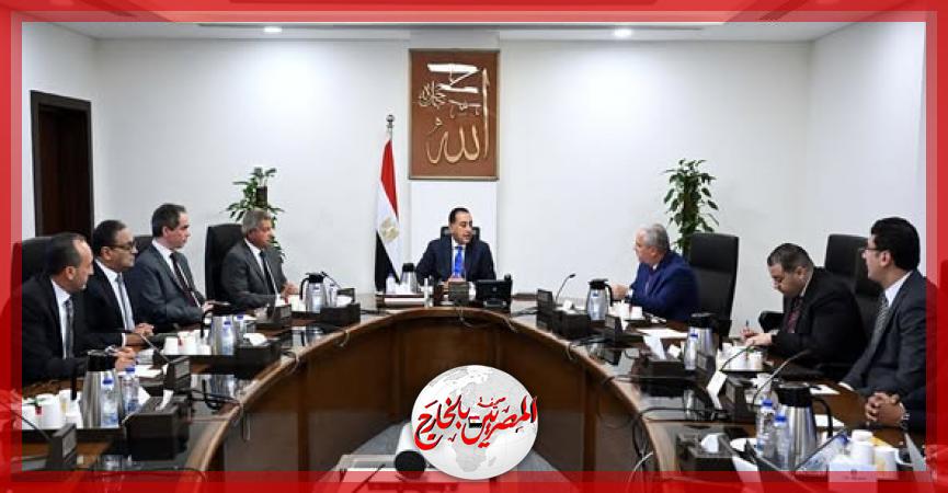 المصريين بالخارج
