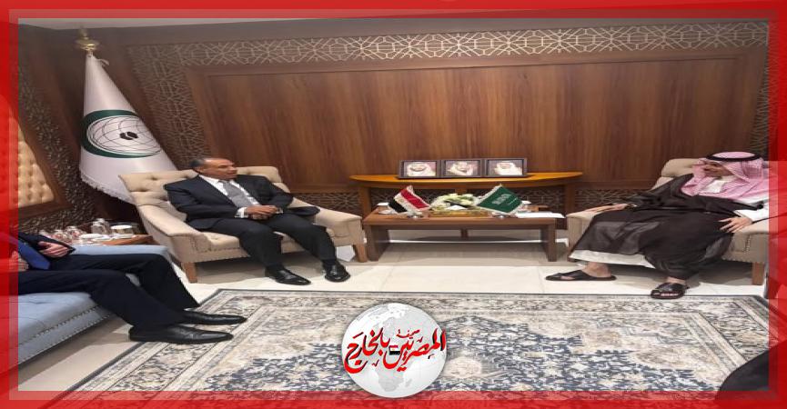 المصريين بالخارج