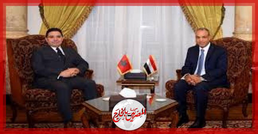 المصريين بالخارج