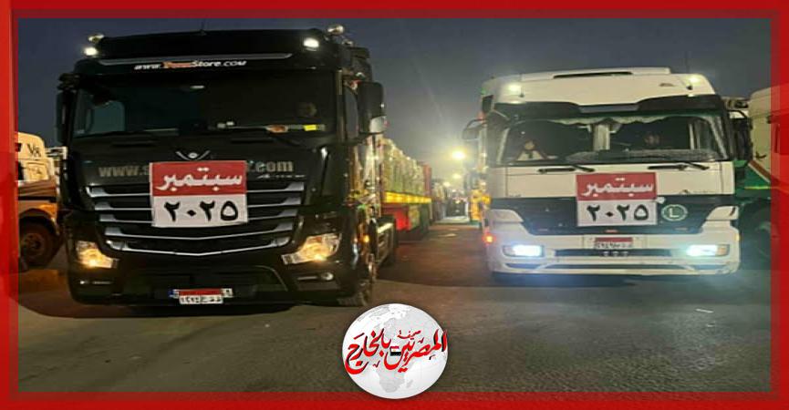 المصريين بالخارج