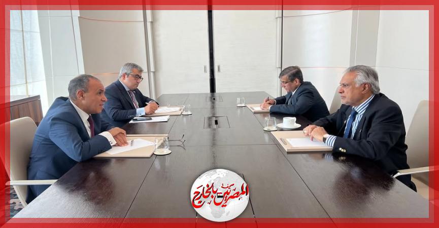 المصريين بالخارج