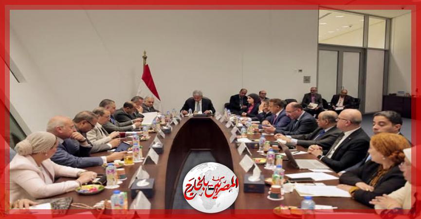 المصريين بالخارج