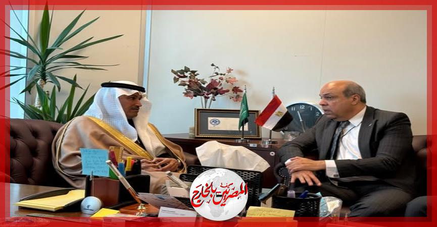 المصريين بالخارج