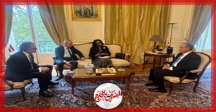 المصريين بالخارج