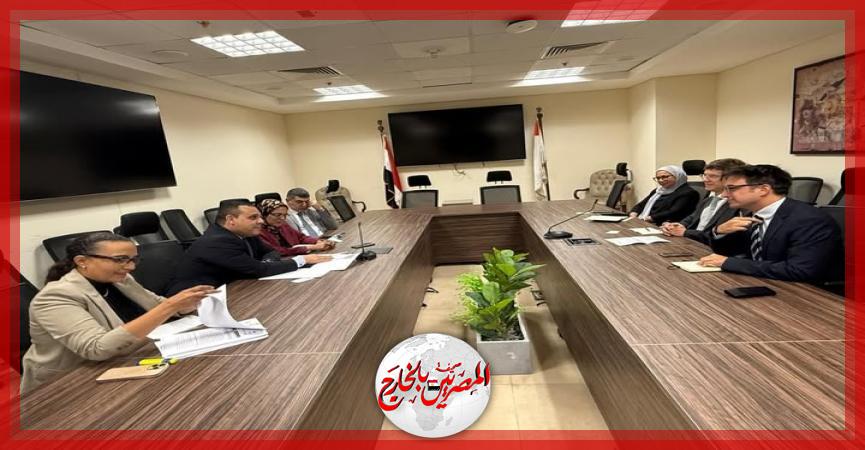 المصريين بالخارج