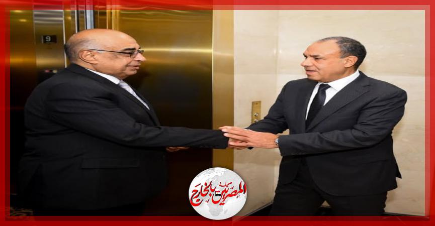 المصريين بالخارج