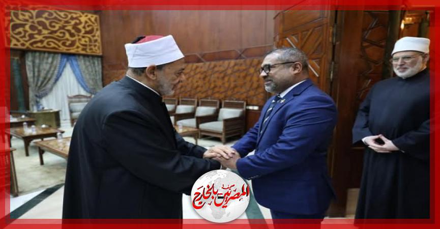 المصريين بالخارج