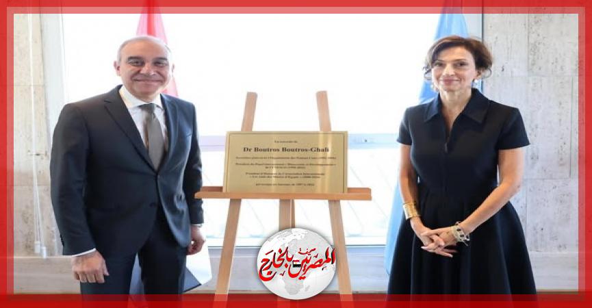 المصريين بالخارج