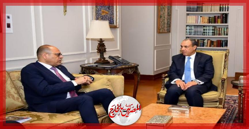 المصريين بالخارج