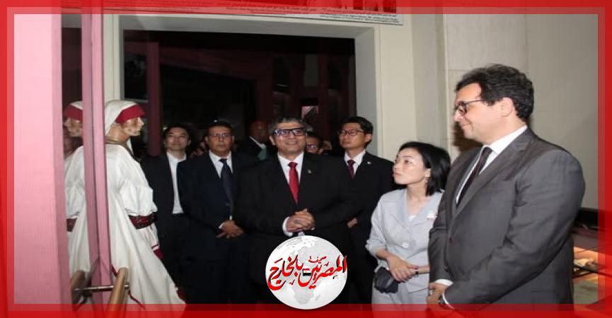 المصريين بالخارج