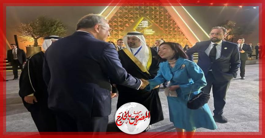 المصريين بالخارج