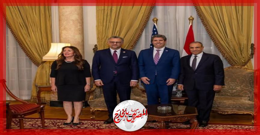 المصريين بالخارج