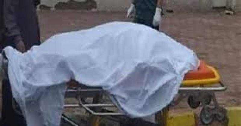 أب يُنهي حياة زوجته ورضيعه وينشر صور الجريمة على فيسبوك في المنوفية