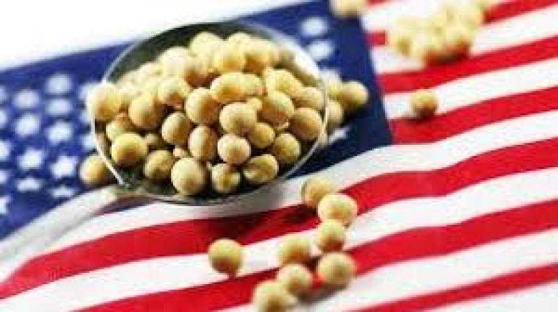 ارتفاع عقود الحبوب الآجلة في أمريكا وسط آمال بحل أزمة الإغلاق الحكومي