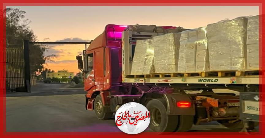 المصريين بالخارج