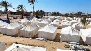 اللجنة المصرية بغزة: استجابة فورية لدعم مخيمات النزوح مع دخول الشتاء