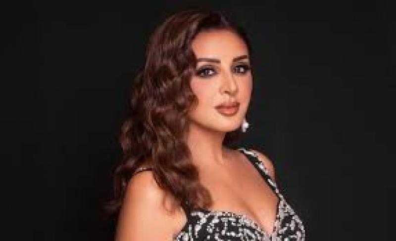 أنغام تطل على جمهورها من سفح الأهرامات بصحبة هاني فرحات