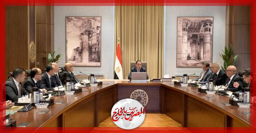 المصريين بالخارج