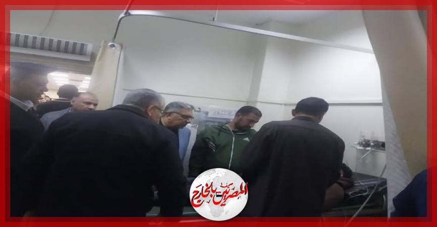 المصريين بالخارج