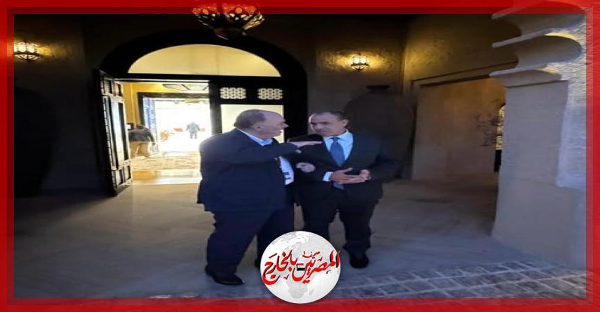 المصريين بالخارج