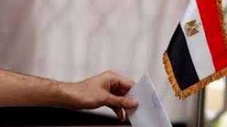 إقبال كثيف للمصريين في الرياض على التصويت بجولة الإعادة بانتخابات النواب