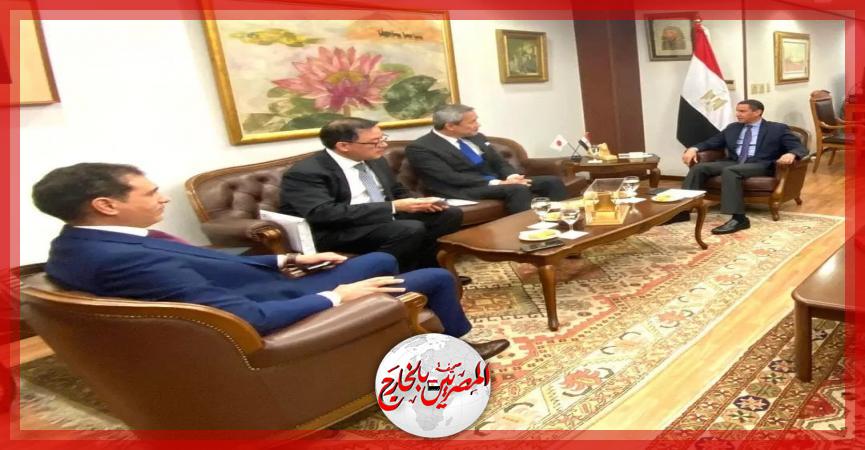 المصريين بالخارج