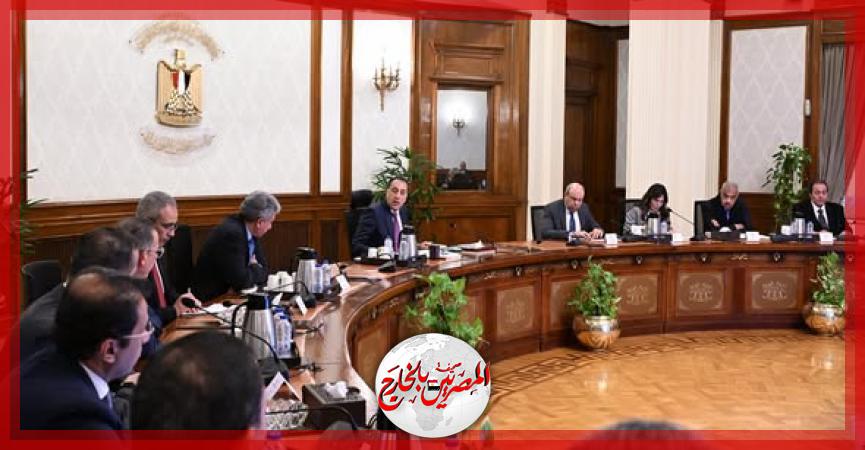 المصريين بالخارج