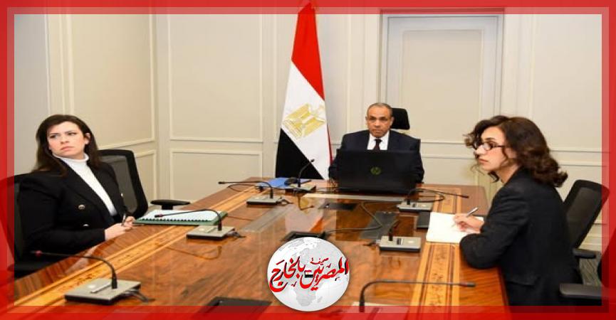 المصريين بالخارج