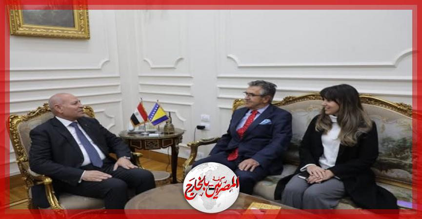 المصريين بالخارج