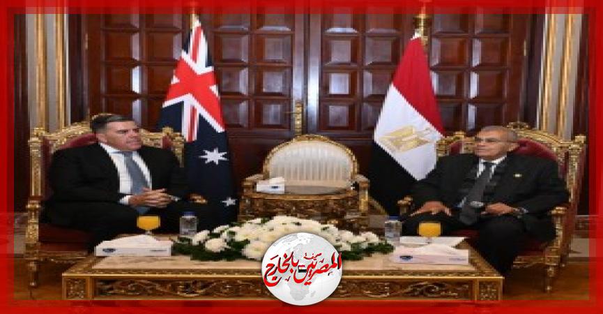 المصريين بالخارج