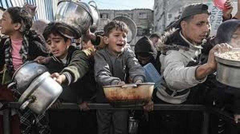 الأمم المتحدة: ارتفاع حالات سوء التغذية الحاد في غزة إلى 95 ألف حالة