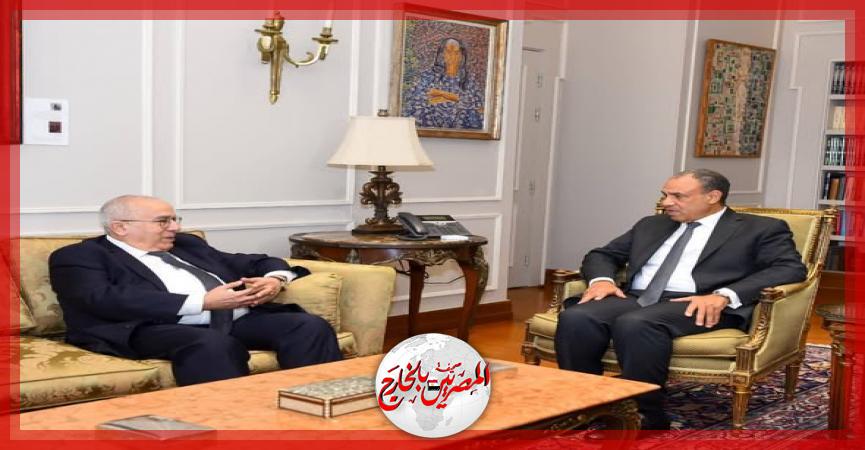 المصريين بالخارج