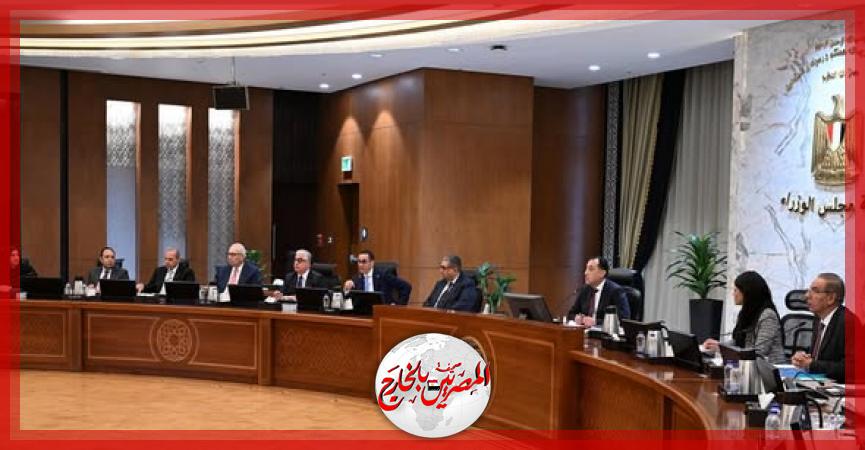 المصريين بالخارج