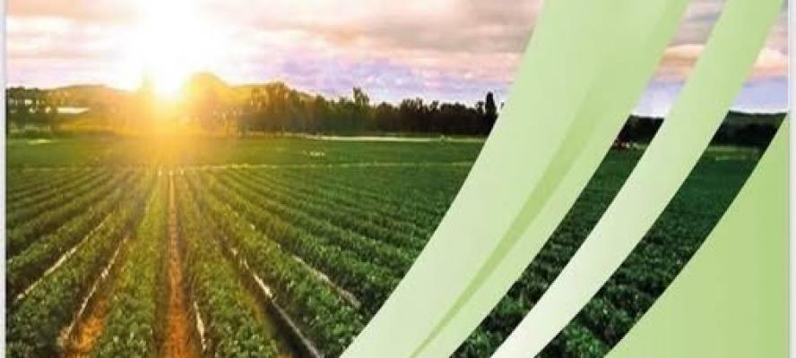 إقبال كبير من المصريين بالخارج على مبادرة ”مزرعتك في مصر”