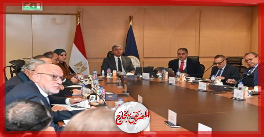 المصريين بالخارج