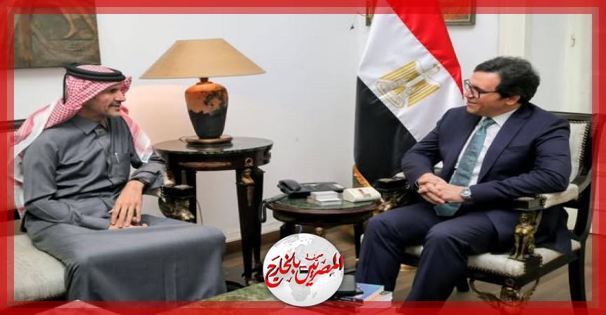 المصريين بالخارج