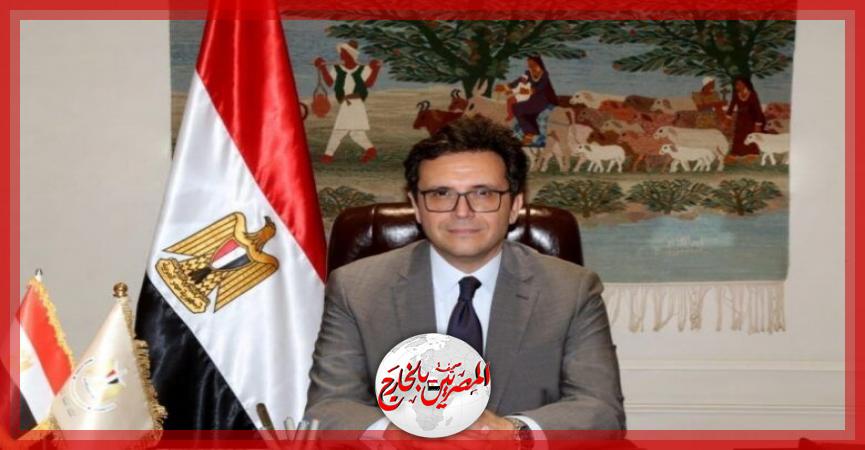 المصريين بالخارج