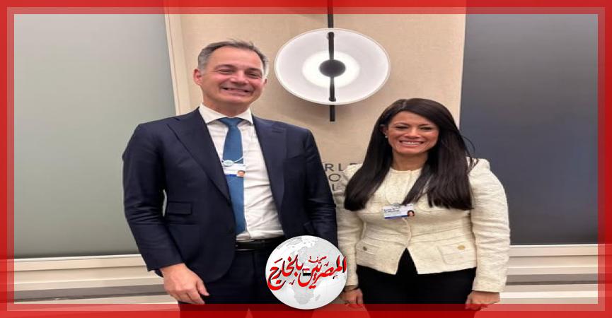 المصريين بالخارج